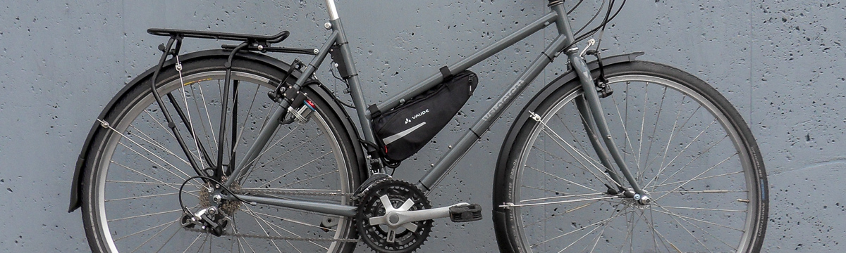 Velogical_Velospeeder_Damenrad-Ladybike